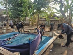 Respons Cepat Aduan Warga, Polres Nganjuk Bongkar Dua Lokasi Sabung Ayam