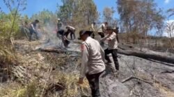Karhutla Hanguskan 5 Hektare Lahan di Mamasa, Polisi dan Damkar Berjibaku Padamkan Api
