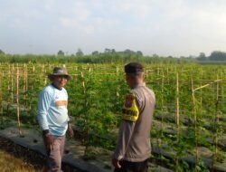 Polisi Kediri Dampingi Petani Desa Jarak, Dorong Ketahanan Pangan