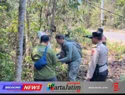 Polres Malang Gencarkan Deteksi Dini Karhutla, Sisir Area BKPH Sengguruh di Bantur
