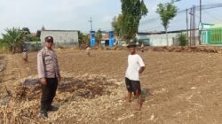 Bhabinkamtibmas Campurejo Dampingi Petani Tanam Jagung, Dorong Ketahanan Pangan di Tingkat Kelurahan