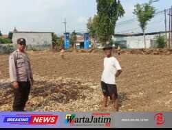 Bhabinkamtibmas Campurejo Dampingi Petani Tanam Jagung, Dorong Ketahanan Pangan di Tingkat Kelurahan