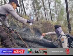 Tembus Ketinggian 1.800 MDPL, Tim Gabungan Polres Blitar Jinakkan Api di Gunung Buthak