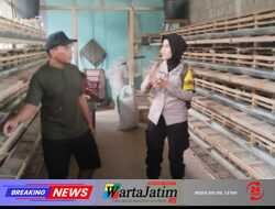 Jaga Produksi Peternak Puyuh, Polsek Kepung Perkuat Ketahanan Pangan