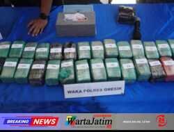 Polres Gresik  Sita 10,8 Kg Ganja di Gudang Ekspedisi