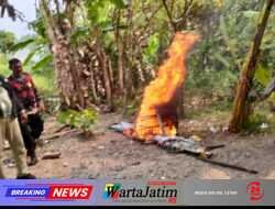 Respon Laporan Warga, Polresta Sidoarjo Bongkar Arena Sabung Ayam di Dua Lokasi