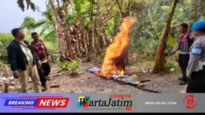 Respon Laporan Warga, Polresta Sidoarjo Bongkar Arena Sabung Ayam di Dua Lokasi