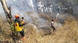 Polres Ngawi dan Tim Gabungan Jinakan Api di Gunung Botak, Medan Berat Jadi Tantangan