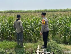 Polisi Kediri Dampingi Petani Rawat Bibit Lombok, Cegah Gangguan Sejak Awal