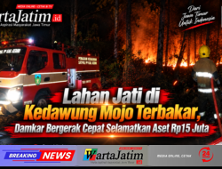 Lahan Jati di Kedawung Mojo Terbakar, Damkar Bergerak Cepat Selamatkan Aset Rp15 Juta