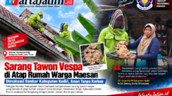 Sarang Tawon Vespa di Atap Rumah Warga Maesan Dievakuasi Damkar Kabupaten Kediri, Aman Tanpa Korban