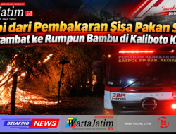 Api dari Pembakaran Sisa Pakan Sapi Merambat ke Rumpun Bambu di Kaliboto Kediri