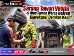Sarang Tawon Vespa di Atap Rumah Warga Ngasem Dievakuasi Damkar Kediri