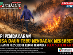 Api Pembakaran Sisa Daun Tebu Mendadak Merembet, Lahan di Plosokidul Kediri Terbakar Dekat Sekolah Rakyat