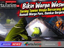 Bikin Warga Waswas! Sarang Tawon Vespa Bersarang di Atap Rumah Warga Pare, Damkar Bergerak Cepat