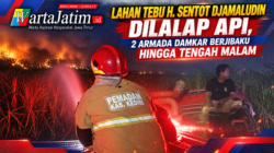 Lahan Tebu H. Sentot Djamaludin Dilalap Api, 2 Armada Damkar Berjibaku hingga Tengah Malam