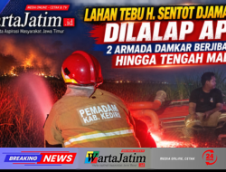 Lahan Tebu H. Sentot Djamaludin Dilalap Api, 2 Armada Damkar Berjibaku hingga Tengah Malam