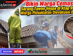 Bikin Warga Cemas, Sarang Tawon Vespa di Atap Rumah Warga Plosoklaten Dievakuasi Damkar