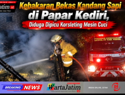 Kebakaran Bekas Kandang Sapi di Papar Kediri, Diduga Dipicu Korsleting Mesin Cuci