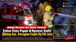 Diduga Berawal dari Bakar Sampah, Bahan Baku Pupuk di Ngancar Kediri Dilalap Api, Kerugian Capai Rp130 Juta