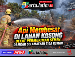 Api Membesar di Lahan Kosong Dekat Permukiman Semen, Damkar Selamatkan Tiga Rumah