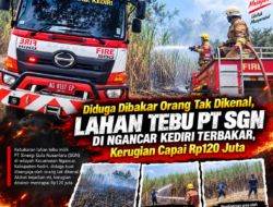 Diduga Dibakar Orang Tak Dikenal, Lahan Tebu PT SGN di Ngancar Kediri Terbakar, Kerugian Capai Rp120 Juta