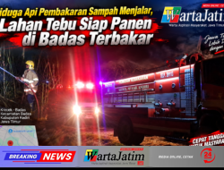 Diduga Api Pembakaran Sampah Menjalar, Lahan Tebu Siap Panen di Badas Terbakar