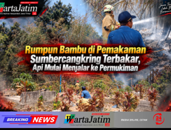 Rumpun Bambu di Pemakaman Sumbercangkring Terbakar, Api Mulai Menjalar ke Permukiman