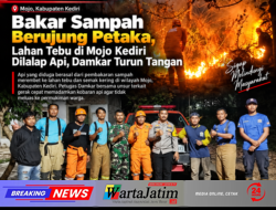 Bakar Sampah Berujung Petaka, Lahan Tebu di Mojo Kediri Dilalap Api, Damkar Turun Tangan