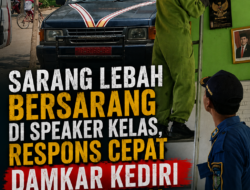 Sarang Lebah Bersarang di Speaker Kelas, Respons Cepat Damkar Kediri Tuai Apresiasi