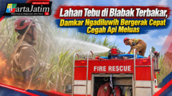 Lahan Tebu di Blabak Terbakar, Damkar Ngadiluwih Bergerak Cepat Cegah Api Meluas
