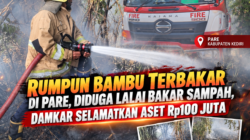 Rumpun Bambu Terbakar di Pare, Diduga Lalai Bakar Sampah, Damkar Selamatkan Aset Rp100 Juta
