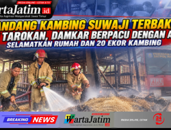 Kandang Kambing Suwaji Terbakar di Tarokan, Damkar Berpacu dengan Api Selamatkan Rumah dan 20 Ekor Kambing