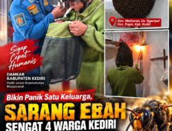 Bikin Panik Satu Keluarga, Sarang Lebah Sengat 4 Warga Kediri hingga Damkar Turun Tangan
