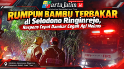 Rumpun Bambu Terbakar di Selodono Ringinrejo, Respons Cepat Damkar Cegah Api Meluas