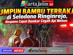 Rumpun Bambu Terbakar di Selodono Ringinrejo, Respons Cepat Damkar Cegah Api Meluas
