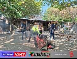 Polsek Waru Bongkar Arena Sabung Ayam di Bungurasih Utara
