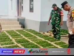 Polsek Gurah Dorong Ketepatan Perawatan Jagung di Desa Tiru Lor