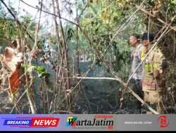 Akses Sempit Tak Halangi Petugas dan Warga Padamkan Kebakaran Lahan di Sidomulyo