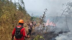 Polda Jatim dan Tim Gabungan Tangani Karhutla Gunung Arjuno Sisir 4 Wilayah