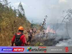 Polda Jatim dan Tim Gabungan Tangani Karhutla Gunung Arjuno Sisir 4 Wilayah