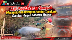Api Pembakaran Sampah Merambat ke Rumpun Bambu Tarokan, Damkar Cegah Kobaran Meluas