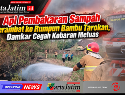 Api Pembakaran Sampah Merambat ke Rumpun Bambu Tarokan, Damkar Cegah Kobaran Meluas