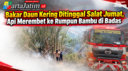 Bakar Daun Kering Ditinggal Salat Jumat, Api Merembet ke Rumpun Bambu di Badas