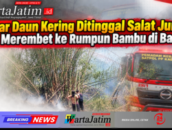 Bakar Daun Kering Ditinggal Salat Jumat, Api Merembet ke Rumpun Bambu di Badas