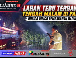 Lahan Tebu Terbakar Tengah Malam di Papar, Diduga Dipicu Pembakaran Daduk