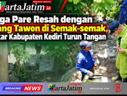 Warga Pare Resah dengan Sarang Tawon di Semak-semak, Damkar Kabupaten Kediri Turun Tangan