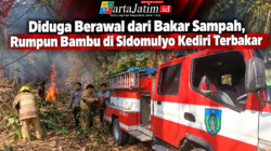 Diduga Berawal dari Bakar Sampah, Rumpun Bambu di Sidomulyo Kediri Terbakar