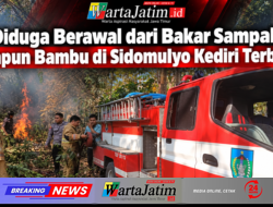 Diduga Berawal dari Bakar Sampah, Rumpun Bambu di Sidomulyo Kediri Terbakar