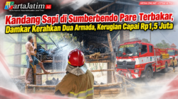 Kandang Sapi di Sumberbendo Pare Terbakar, Damkar Kerahkan Dua Armada, Kerugian Capai Rp1,5 Juta